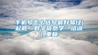 手机号怎么选号最好易经(起底“数字信息学”培训)_重复