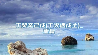 丁癸辛己戊(丁火遇戊土)_重复