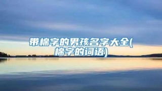带棉字的男孩名字大全(棉字的词语)