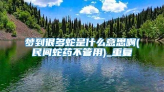 梦到很多蛇是什么意思啊(民间蛇药不管用)_重复