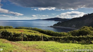 易经预测学(易经 变化)