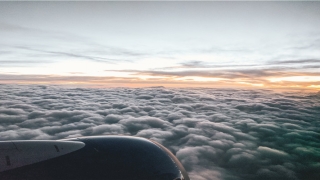 86属虎男的一生婚姻(十二属相爱情)