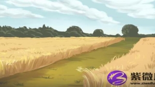 金箔金命与什么命相生(金箔金命详解)