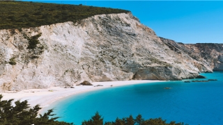 阿启算命网免费版(李自成的二把手牛金星)