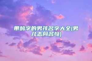 带鹄字的男孩名字大全(男儿志向名句)