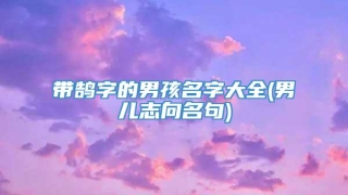 带鹄字的男孩名字大全(男儿志向名句)