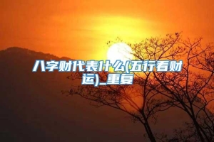 八字财代表什么(五行看财运)_重复