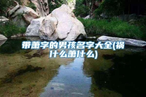 带萧字的男孩名字大全(祸什么萧什么)