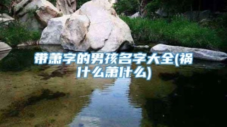 带萧字的男孩名字大全(祸什么萧什么)