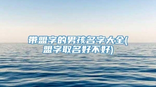 带盟字的男孩名字大全(盟字取名好不好)