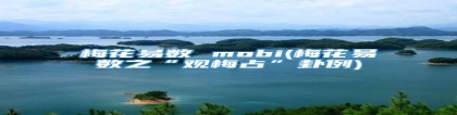 梅花易数 mobi(梅花易数之“观梅占”卦例)