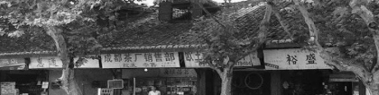 成都哪里有算卦(一街一故事丨成都的街名)