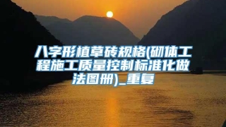 八字形植草砖规格(砌体工程施工质量控制标准化做法图册)_重复