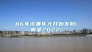 86年虎哪年才开始发财(展望2022)