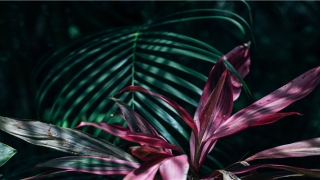 85年属牛二次婚姻在几岁(生于1985年生肖牛2019年运势如何呢)