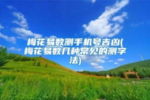 梅花易数测手机号吉凶(梅花易数几种常见的测字法)