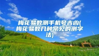 梅花易数测手机号吉凶(梅花易数几种常见的测字法)