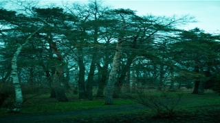 八字培训班哪里教的正规(起底山寨风水社团)