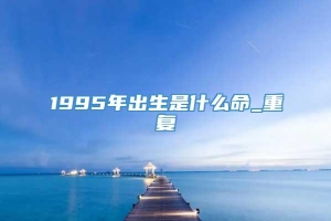 1995年出生是什么命_重复