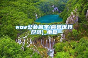 wow公会名字(魔兽世界昆哥)_重复