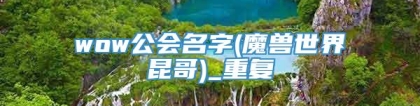 wow公会名字(魔兽世界昆哥)_重复