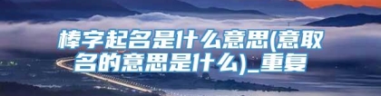 棒字起名是什么意思(意取名的意思是什么)_重复