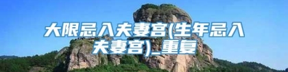 大限忌入夫妻宫(生年忌入夫妻宫)_重复