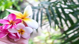 按名字取网名(名字,网名)