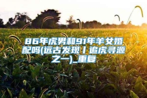 86年虎男和91年羊女婚配吗(远古发现丨追虎寻源之一)_重复