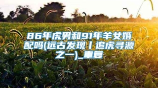 86年虎男和91年羊女婚配吗(远古发现丨追虎寻源之一)_重复