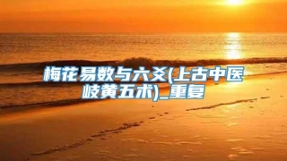 梅花易数与六爻(上古中医岐黄五术)_重复