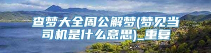 查梦大全周公解梦(梦见当司机是什么意思)_重复