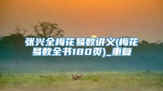 张兴全梅花易数讲义(梅花易数全书180页)_重复