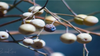 2022年1月16日出生的女孩起名(2020年11月16日取名)_重复