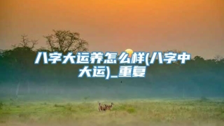 八字大运养怎么样(八字中大运)_重复