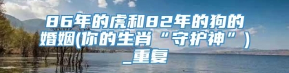 86年的虎和82年的狗的婚姻(你的生肖“守护神”)_重复