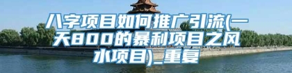 八字项目如何推广引流(一天800的暴利项目之风水项目)_重复