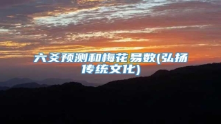 六爻预测和梅花易数(弘扬传统文化)