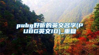 pubg好听的英文名字(PUBG英文ID)_重复