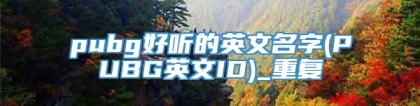 pubg好听的英文名字(PUBG英文ID)_重复