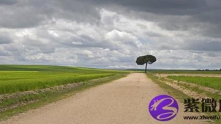 八字辰酉合婚姻不好吗(鸡和鸡的属相合不合婚姻)