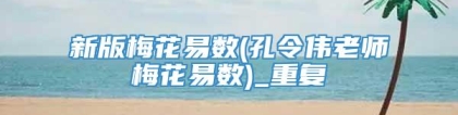 新版梅花易数(孔令伟老师梅花易数)_重复