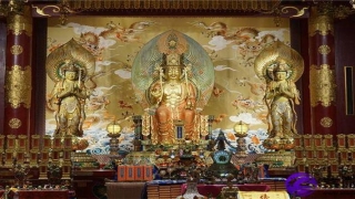 比耄耋之年更大的年纪如何称呼(耄耋之年是指多大年龄的人)