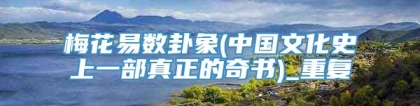 梅花易数卦象(中国文化史上一部真正的奇书)_重复