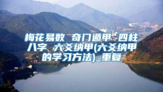 梅花易数 奇门遁甲 四柱八字 六爻纳甲(六爻纳甲的学习方法)_重复