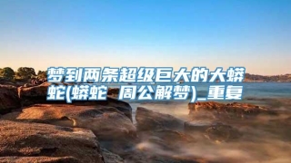 梦到两条超级巨大的大蟒蛇(蟒蛇 周公解梦)_重复