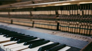 楚辞男孩名字大全集免费(楚辞名字大全集)