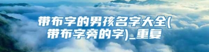 带布字的男孩名字大全(带布字旁的字)_重复