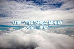 八字 原理(八字命理术语大全)_重复