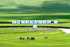梅花易数起卦加数例_重复